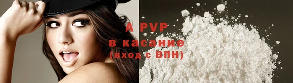 ALPHA PVP Новозыбков