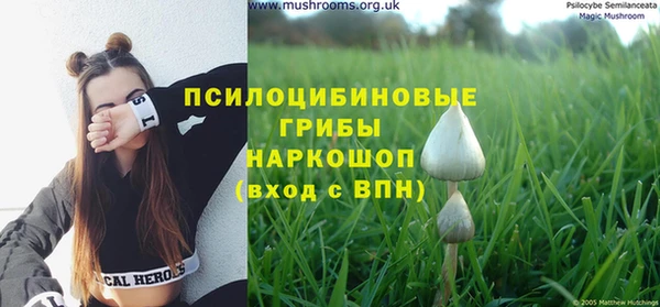 ALPHA PVP Новозыбков