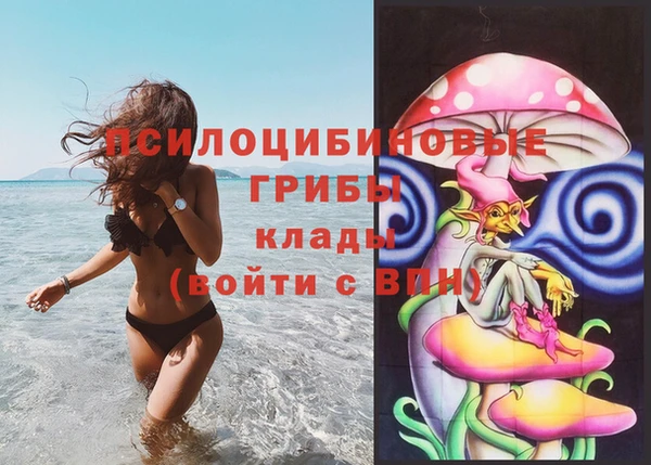 ALPHA PVP Новозыбков