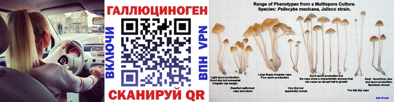 Псилоцибиновые грибы мухоморы Урус-Мартан
